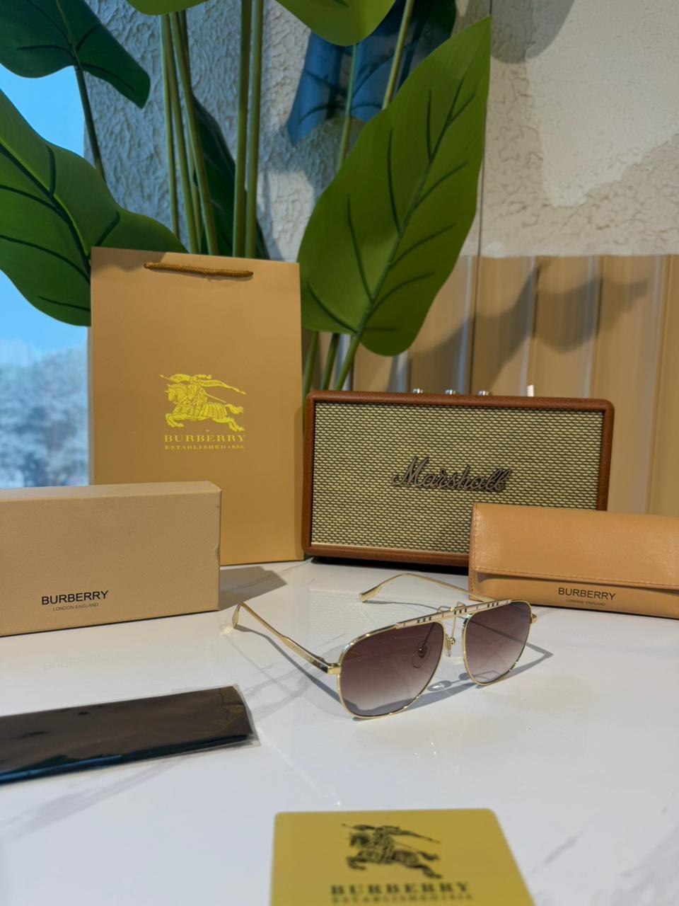 Burberry Dean B Stripe Sunglasses